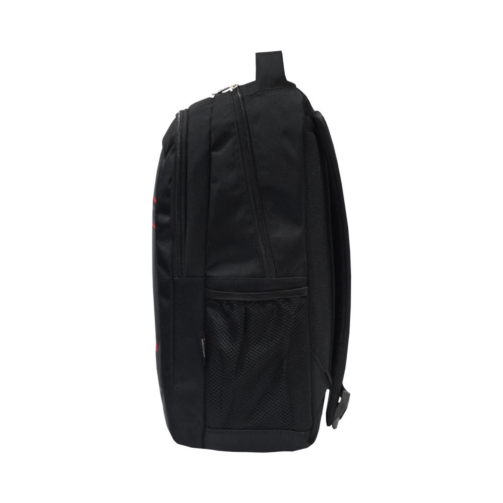 Backpack - Laptop Bag